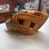 Mizuno Baseball Mitt