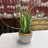 Potted Artificial Grass
