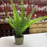 Potted Artificial Fern