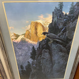 Stephen Lyman "Return of the Falcon" Print 176/1500
