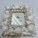 Two's Company Seashell Frame