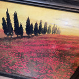 Framed Print of "Poppies" by Steve Thoms