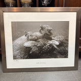 Turtle Rock Series "The Gang" Print