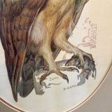 Barn Owl Print B. Roth