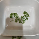 Andrea by Sadek Casserole Dish-Parsley