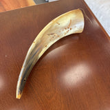 Bovine Horn
