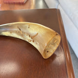 Bovine Horn