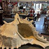 Large Ceramic Seashell Lamp