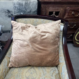 Velveteen Pillow