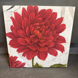 Red Dahlia Canvas Print