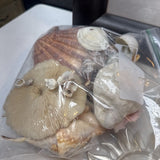 Bag of Large Shells