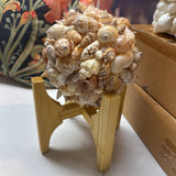 Decorative Shell Sphere on Stand - White Marlin