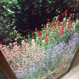 Tall Wood Frame Wildflower Photographic Print